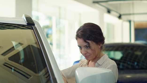 Identificación de problemas y su impacto en el presupuesto